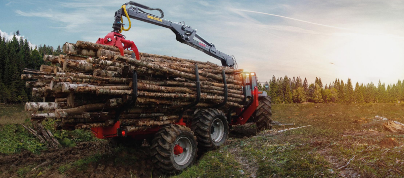 Помощники в лесу