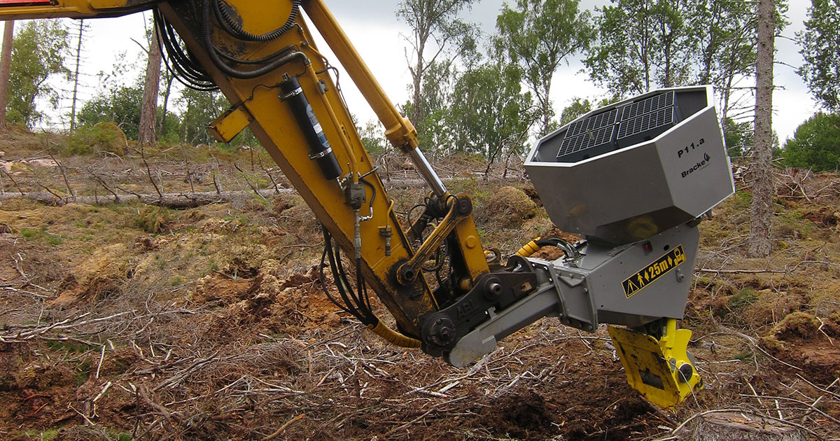 Механизированная посадка лесных культур